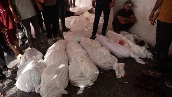 عاجل.. شهيد و30 جريحاً نتيجة قصف إسرائيلي على مخيم للنازحين في خان يونس عاجل.. شهيد و30 جريحاً نتيجة قصف إسرائيلي على مخيم للنازحين في خان يونس