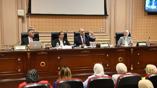 28 مليون جنيه لموازنة القومي لذوي الإعاقة في 2025/2026 .. تفاصيل 28 مليون جنيه لموازنة القومي لذوي الإعاقة في 2025/2026 .. تفاصيل