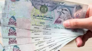 سعر الدرهم الإماراتي في البنوك اليوم الاثنين 12 مايو 2025