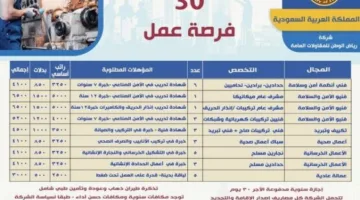 30 وظيفة متاحة للمصريين في السعودية.. معلومات عن الوظائف والمتطلبات