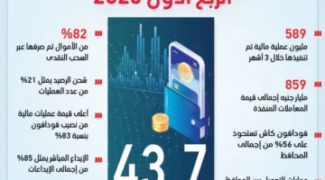 43.7 مليون محفظة إلكترونية في مصر خلال الربع الأول من عام 2025 (رسم بياني)