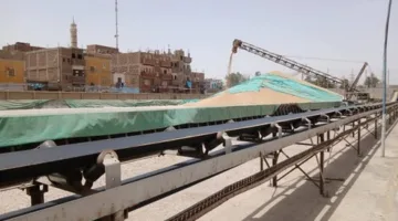 محافظ أسوان: توريد 158 ألف طن قمح بالصوامع والشون