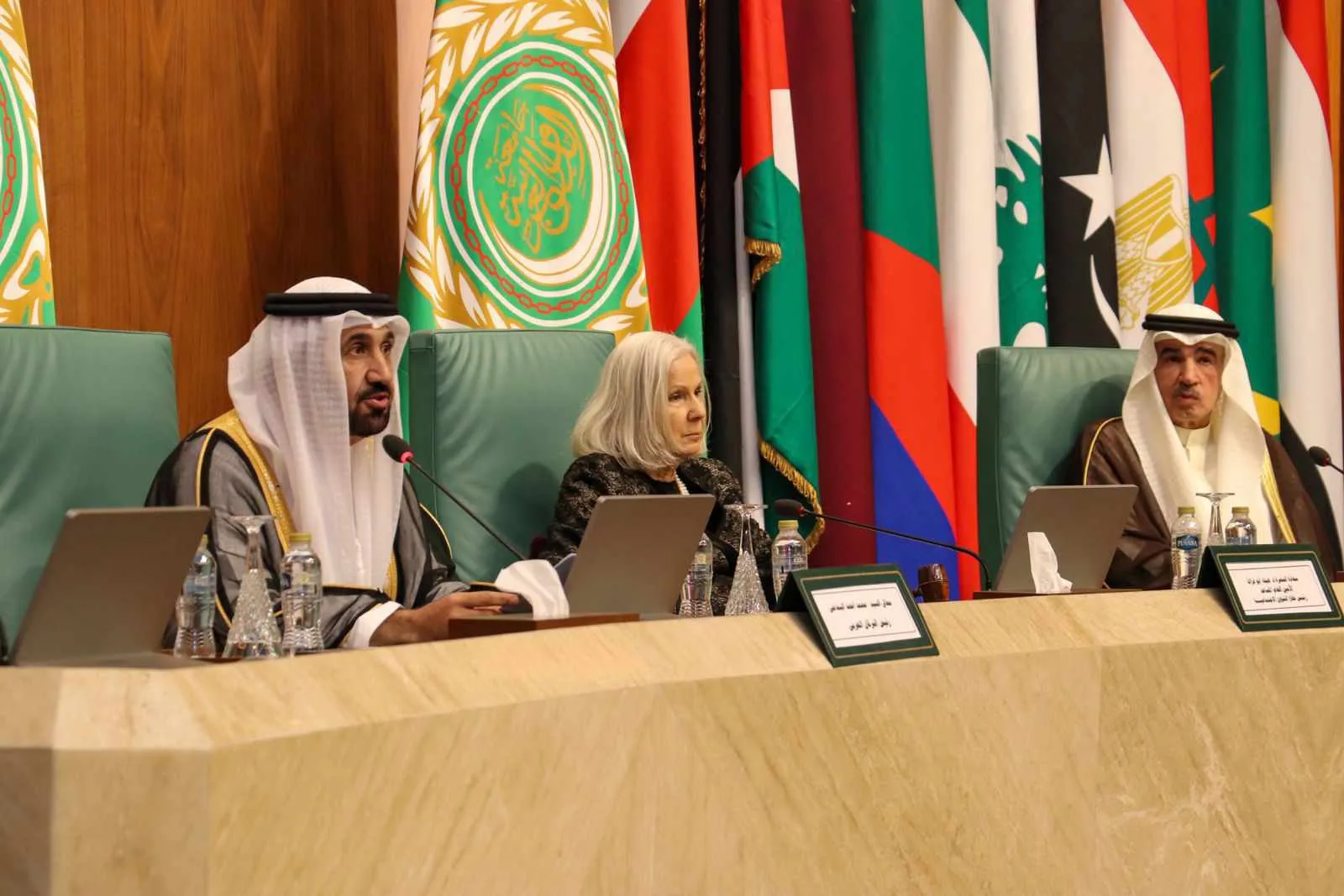 البرلمان العربي يدعو لوضع إستراتيجية موحدة لتعزيز المكانة العالمية للغة العربية البرلمان العربي يدعو لوضع إستراتيجية موحدة لتعزيز المكانة العالمية للغة العربية