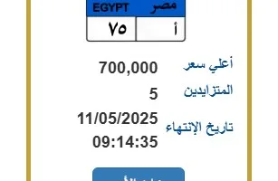 5 أشخاص يتنافسون على لوحة سيارة مميزة بـ 700 ألف جنيه