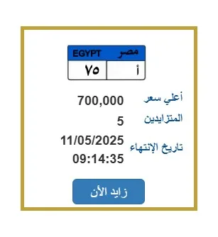 5 أشخاص يتنافسون على لوحة سيارة مميزة بـ 700 ألف جنيه 5 أشخاص يتنافسون على لوحة سيارة مميزة بـ 700 ألف جنيه