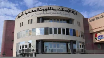 5 % ارتفاعًا بأرباح أموك متجاوزة المليار جنيه في 9 أشهر