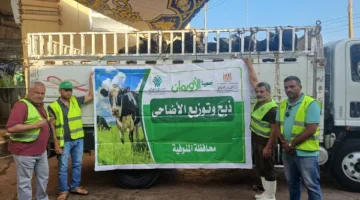 50 ألف كيلو لحوم أضاحي و80 عجل بلدى للأسر الاولى بالرعاية بالمنوفية