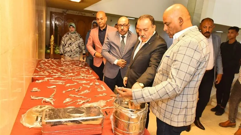 محافظ أسيوط: تجديد 1600 أداة جراحية وتوفير ملايين الجنيهات للخزانة العامة محافظ أسيوط: تجديد 1600 أداة جراحية وتوفير ملايين الجنيهات للخزانة العامة