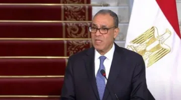 وزير الخارجية: جهود مصرية مكثفة لوقف إطلاق النار في غزة واستعادة اتفاق يناير