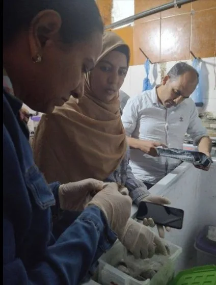 عنوان بديل: “إجراء عمليات تفتيش مفاجئة على مجموعة من المطاعم والم establishments التجارية”