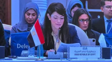 المشاط: الاستقرار الاقتصادي ضروري لتعزيز النمو، لكنه بحاجة إلى إصلاحات لدعم القطاع الخاص.