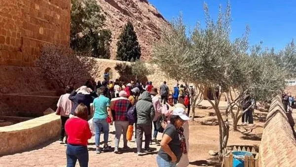 573 سائحًا في زيارة للمقدسات الدينية بسانت كاترين 573 سائحًا في زيارة للمقدسات الدينية بسانت كاترين