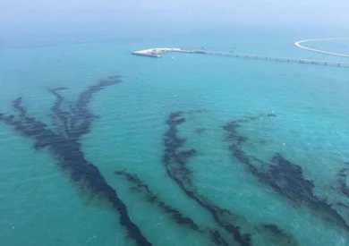 5 صيادين ظلوا تائهين 55 يوما في البحر يصلون إلى جزر جالاباجوس 5 صيادين ظلوا تائهين 55 يوما في البحر يصلون إلى جزر جالاباجوس