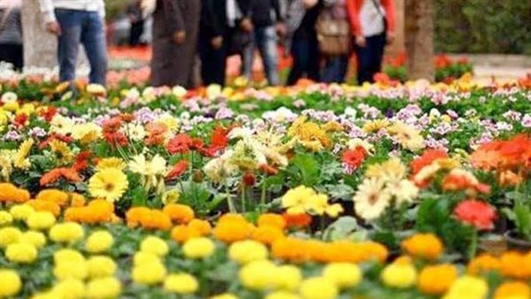 6 طرق طبيعية للتقليل من تأثير الحساسية في موسم الربيع 6 طرق طبيعية للتقليل من تأثير الحساسية في موسم الربيع