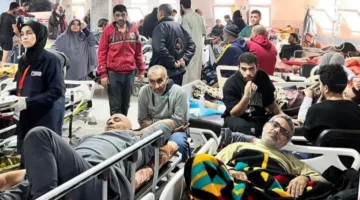 وزير خارجية بلجيكا: الأحداث في غزة تشكل إبادة جماعية