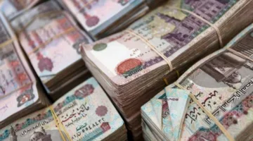 خبيرة اقتصادية: ارتفاع معدل التضخم للشهر الثاني على التوالي لن يؤثر في قرار خفض الفائدة