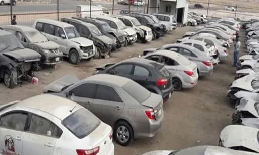 23.1 مليون جنيه إيرادات بيع سيارات وبضائع في مزاد جمارك بورسعيد اليوم