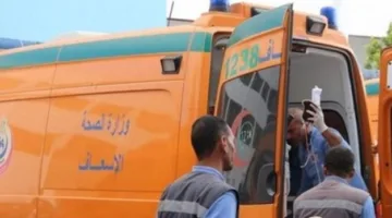 مأساة في الحقل.. مصرع سيدة أثناء دراس القمح ببني سويف