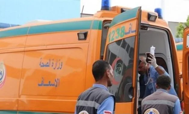 مأساة في الحقل.. مصرع سيدة أثناء دراس القمح ببني سويف