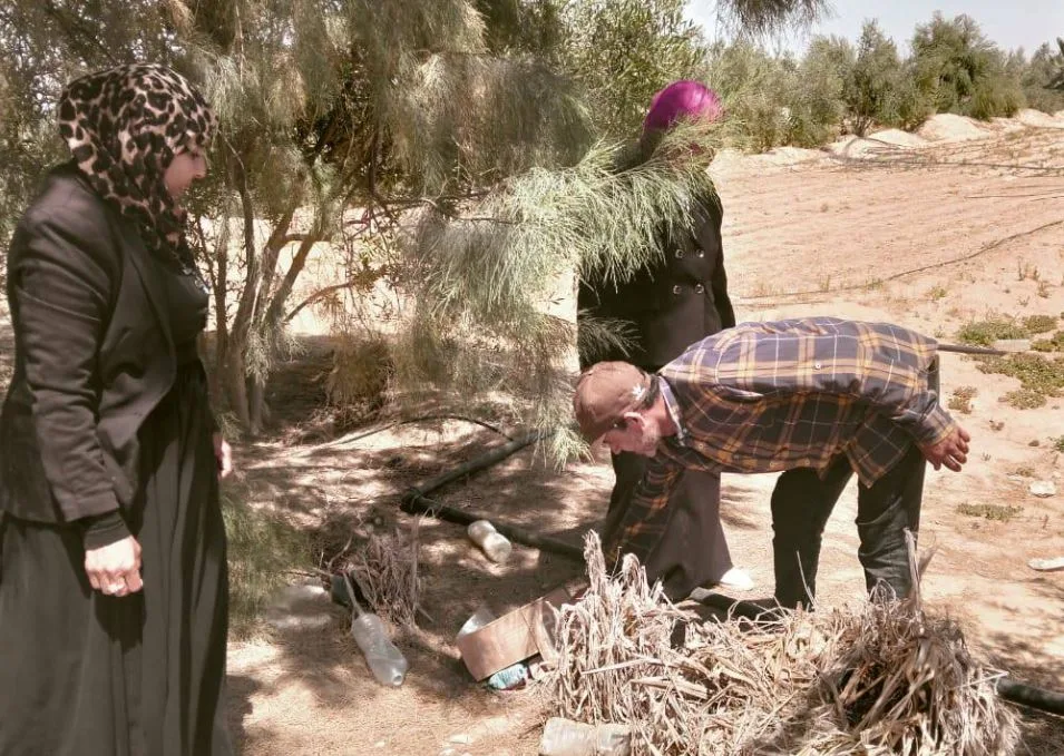 بدء حملة لمواجهة الجرذان في مركز رفح بشمال سيناء بدء حملة لمواجهة الجرذان في مركز رفح بشمال سيناء