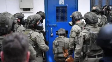 جندي احتياط إسرائيلي يكشف عن فظائع معتقل سدي تيمان: تعذيب غير إنساني وعمليات جراحية بلا تخدير