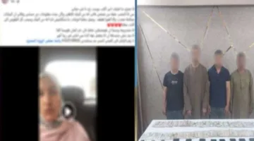 ضبط متهمين بالنصب على سيدة من ذوي الاحتياجات الخاصة بالمنيا