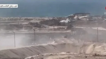 Cairo News: Chaos in Aid Distribution in Rafah and Gunfire from Israeli Forces