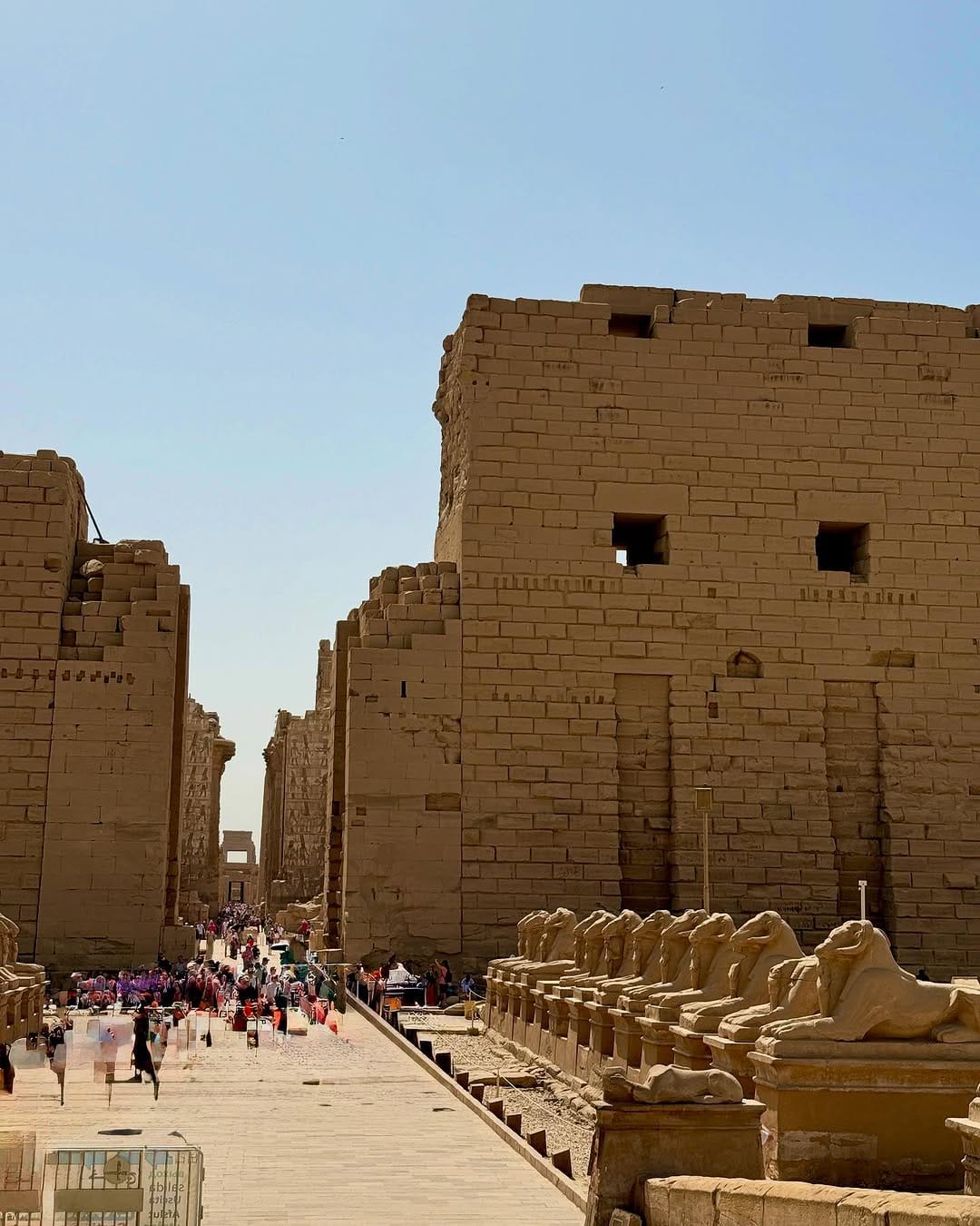 في أسبوع واحد.. أكثر من 17 ألف سائح يتوافدون على معبد الكرنك بالأقصر في أسبوع واحد.. أكثر من 17 ألف سائح يتوافدون على معبد الكرنك بالأقصر