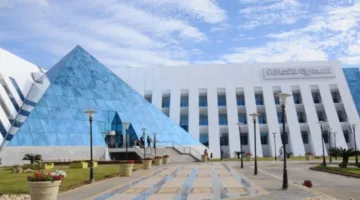 تقرير الجهاز القومي لتنظيم الاتصالات يظهر ريادة شبكة وي على المنافسين في خدمات تحميل البيانات بفارق ملحوظ.