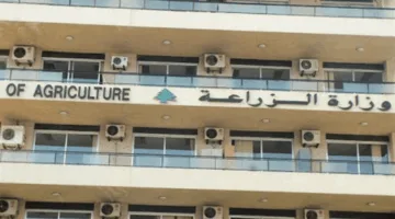 &quot;الزراعة&quot; تعلن التوصل لآلية تسهل دخول المزارعين إلى الأراضي الحدودية