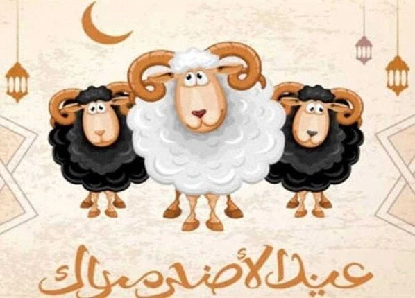 تاريخ وقفة عرفات وعيد الأضحى 2025.. «كم يوم عطلة؟» تاريخ وقفة عرفات وعيد الأضحى 2025.. «كم يوم عطلة؟»