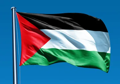 الصحة العالمية تصدر قراراً بالأغلبية برفع علم فلسطين في مقرها الصحة العالمية تصدر قراراً بالأغلبية برفع علم فلسطين في مقرها
