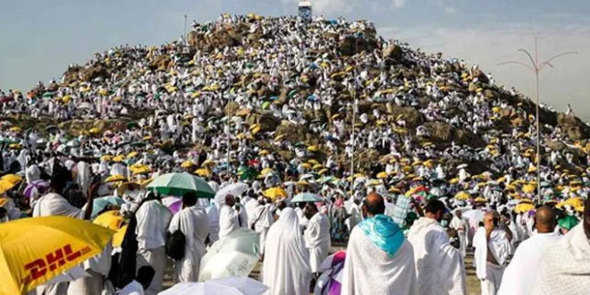 هل يتعين أداء الحج عند توافر الاستطاعة أم يمكن تأجيله؟.. فتوى الإفتاء توضح