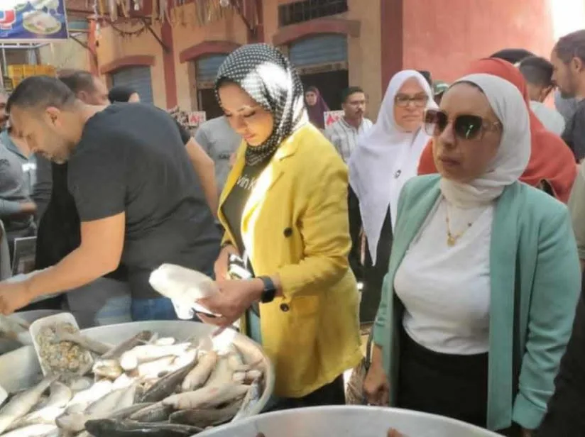 ضبط طن لحوم غير مطابقة للمواصفات.. وتحرير 30 مخالفة خلال حملة بالإسماعيلية ضبط طن لحوم غير مطابقة للمواصفات.. وتحرير 30 مخالفة خلال حملة بالإسماعيلية