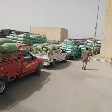 توريد 375 ألف طن من القمح حتى الآن في المنيا توريد 375 ألف طن من القمح حتى الآن في المنيا