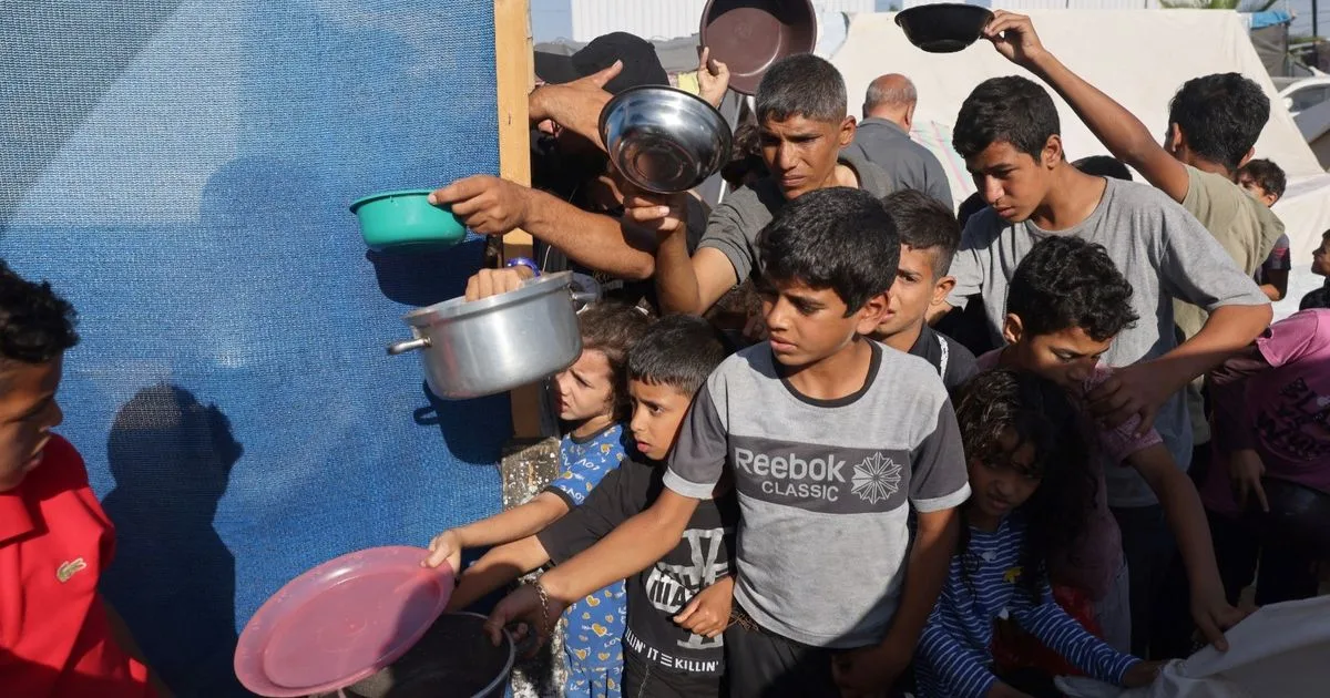 غزة: 326 وفاة نتيجة الجوع ونقص الأدوية و300 حالة إجهاض خلال 80 يومًا من الحصار