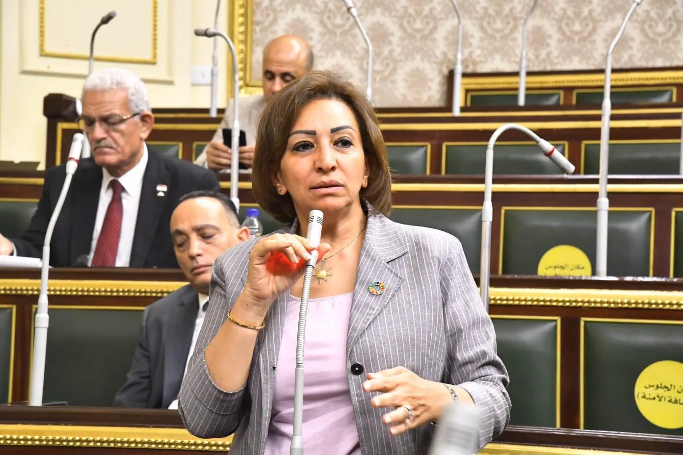 النائبة مها عبد الناصر عن البنزين المغشوش: أزمة متعددة الأبعاد تستوجب استجابة حكومية واضحة النائبة مها عبد الناصر عن البنزين المغشوش: أزمة متعددة الأبعاد تستوجب استجابة حكومية واضحة