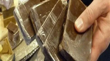 القبض على 51 قضية مخدرات تضم 64 متهماً بالقرب من المدارس ومراكز الشباب والجامعات