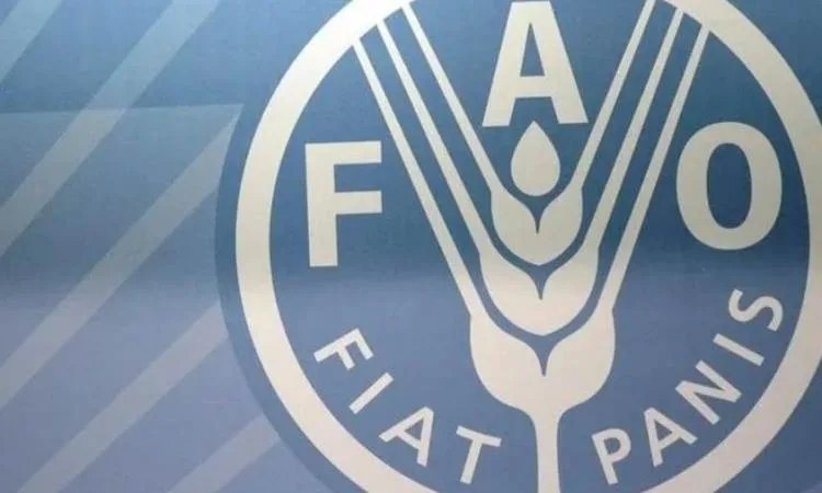 "الفاو" تحذر من تفشي مرض الحمى القلاعية في أوروبا والشرق الأوسط "الفاو" تحذر من تفشي مرض الحمى القلاعية في أوروبا والشرق الأوسط