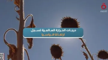 "القاهرة الإخبارية": درجات الحرارة العالمية تُسجل ارتفاعًا قياسيًا