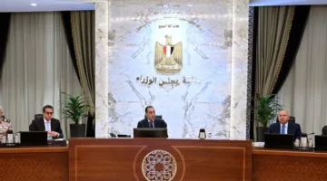 "الوزراء" يوافق على العفو عن باقي مدة العقوبة لبعض المحكوم عليهم