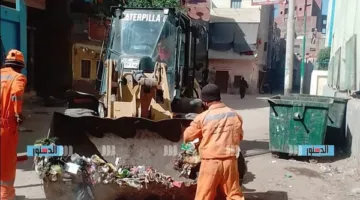 "تجميل القاهرة": ننتج صناديق النظافة الآن.. وكنا نستوردها بتكلفة عالية