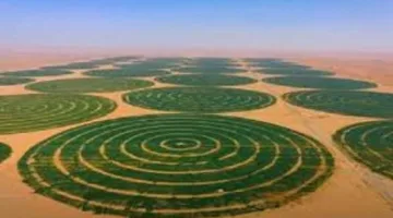 "تحيا مصر" يستعرض استراتيجية 2030 في التنمية الزراعية المستدامة   