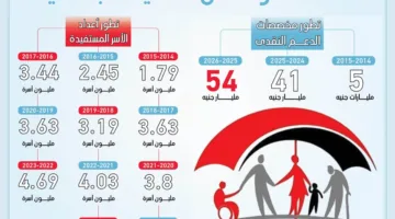 "تكافل وكرامة".. 10 سنوات من الحماية للأسر الأكثر احتياجًا (إنفوجراف)