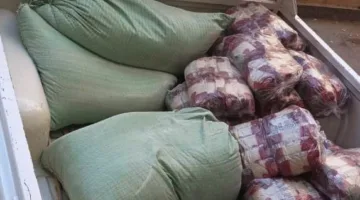 "تموين أسوان": ضبط 379 مخالفة متنوعة في مجال الأسواق والمخابز البلدية 