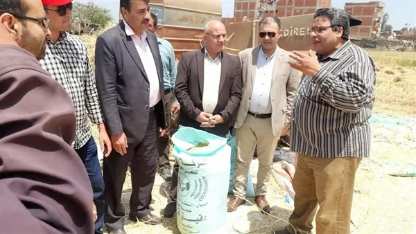 "زراعة المنوفية": حصاد وتوريد 50 ألف فدان من القمح منذ بدء الموسم "زراعة المنوفية": حصاد وتوريد 50 ألف فدان من القمح منذ بدء الموسم