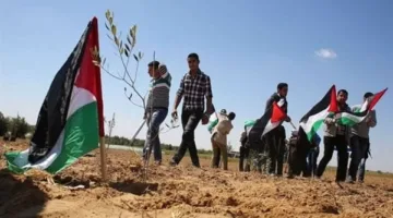 "غزة في القلب".. كيف جسّد التحالف الوطني التضامن المصري مع الشعب الفلسطيني؟