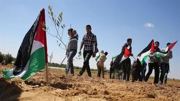 "غزة في القلب".. كيف جسّد التحالف الوطني التضامن المصري مع الشعب الفلسطيني؟ "غزة في القلب".. كيف جسّد التحالف الوطني التضامن المصري مع الشعب الفلسطيني؟