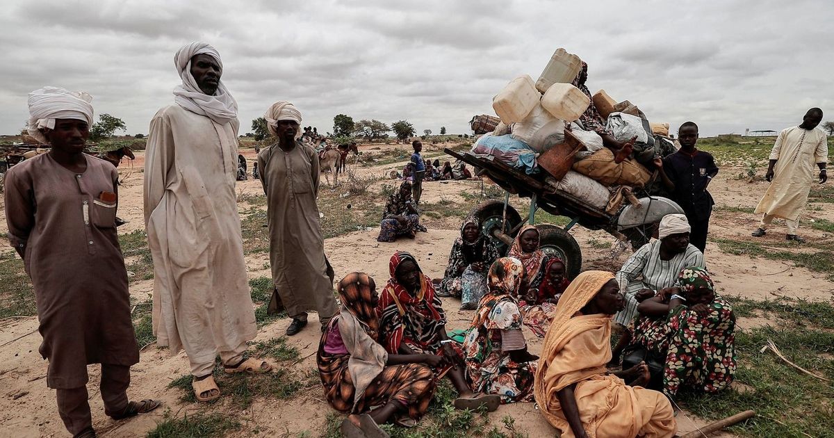 ولاية سودانية تعلن عن اعتقال 4000 شخص متعاونين مع قوات الدعم السريع ولاية سودانية تعلن عن اعتقال 4000 شخص متعاونين مع قوات الدعم السريع