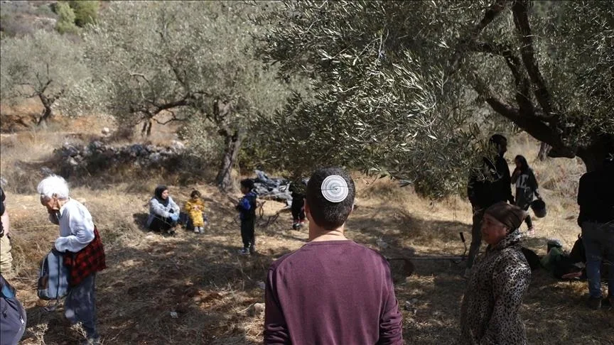مستوطنون يعتدون على مزارعين فلسطينيين في منطقة نابلس مستوطنون يعتدون على مزارعين فلسطينيين في منطقة نابلس